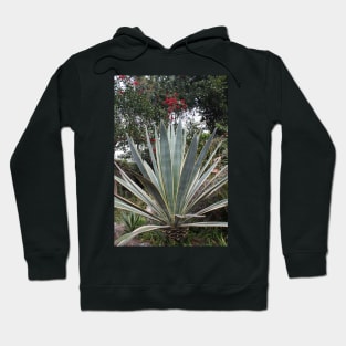 Mexican Plant Hoodie